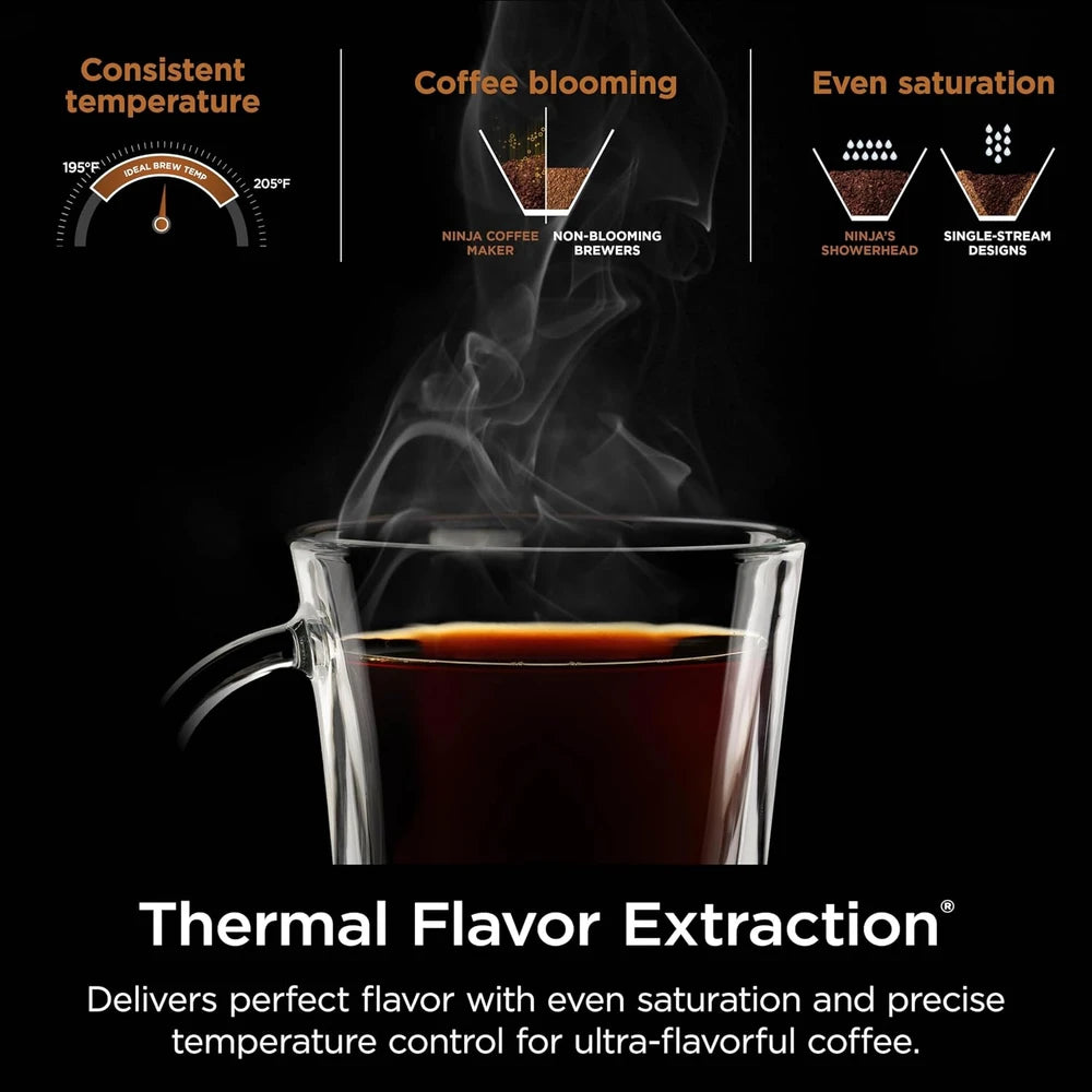 Ninja Hot and Iced Coffee Maker
