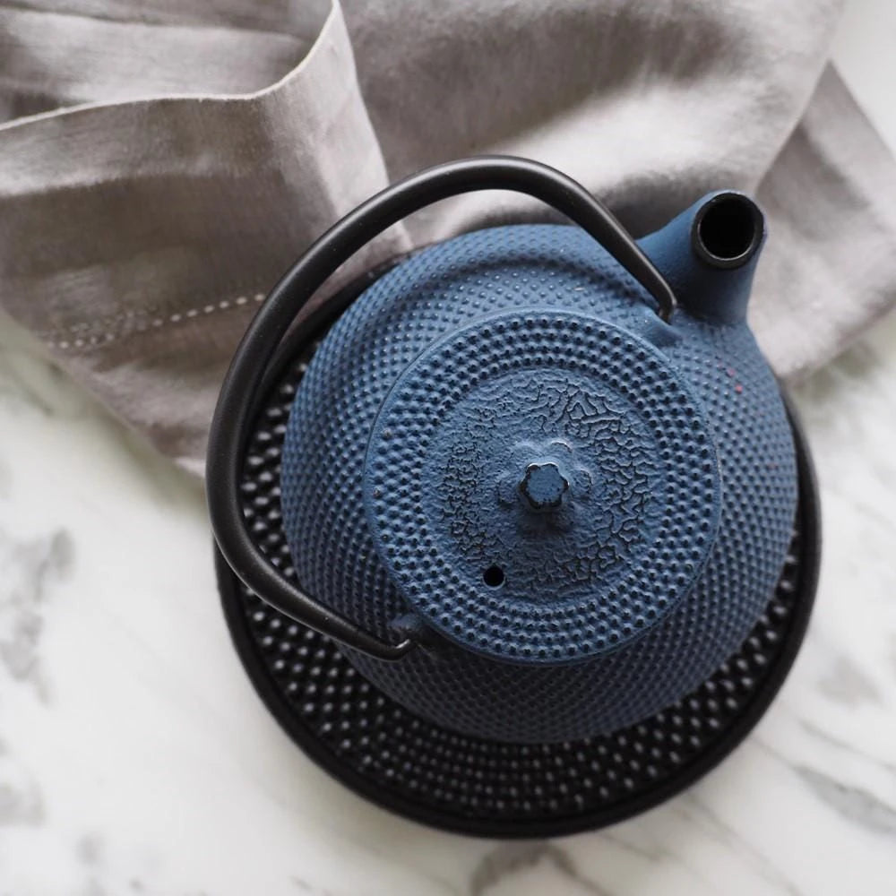 Cast Iron Japanese Teapot