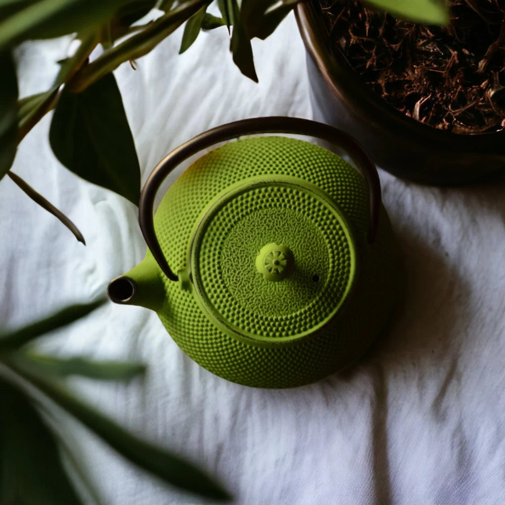 Cast Iron Japanese Teapot