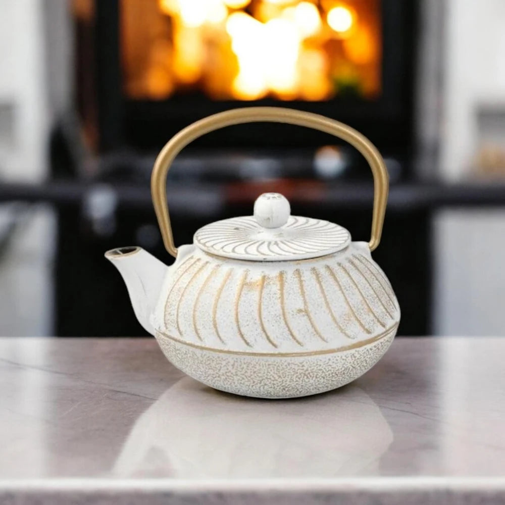 Cast Iron Japanese Teapot